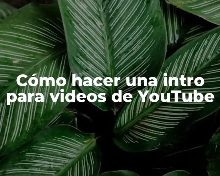 Cómo hacer una intro para videos de YouTube