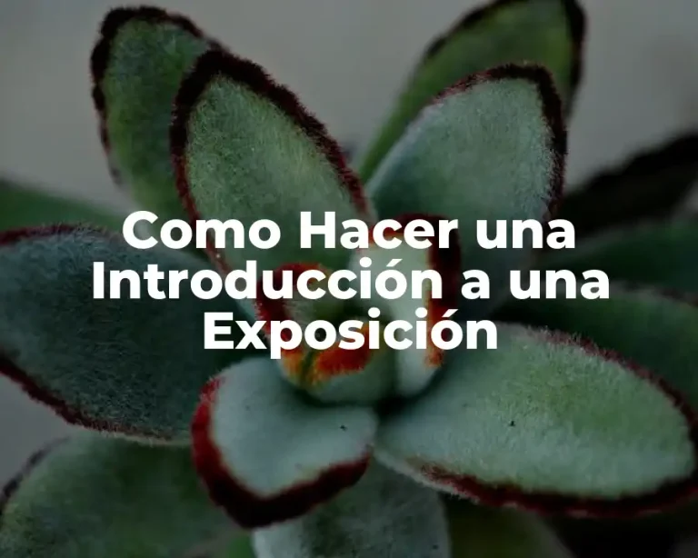 Como Hacer una Introducción a una Exposición