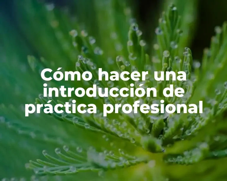 Cómo hacer una introducción de práctica profesional