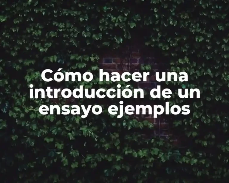 Cómo hacer una introducción de un ensayo ejemplos