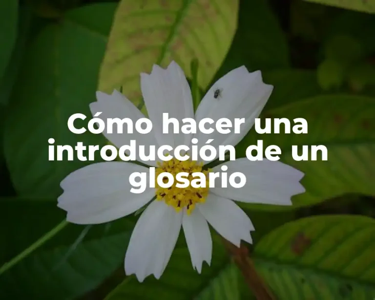 Cómo hacer una introducción de un glosario