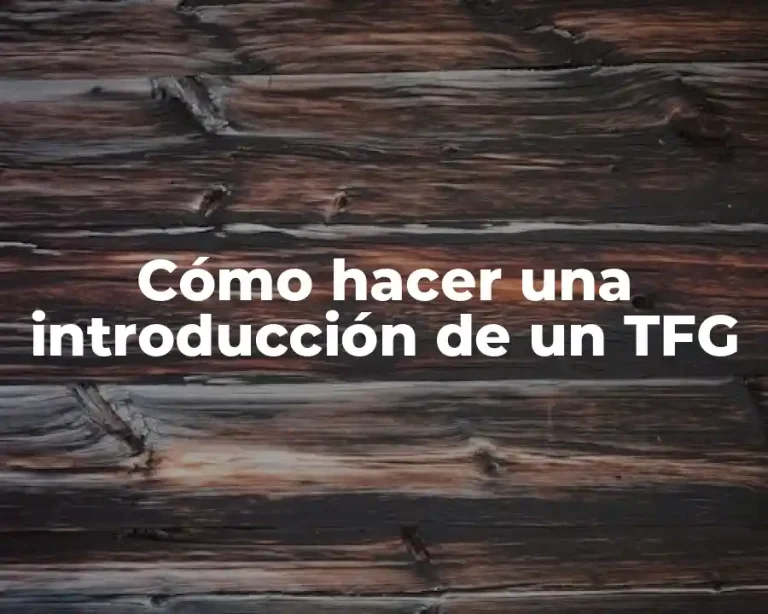 Cómo hacer una introducción de un TFG