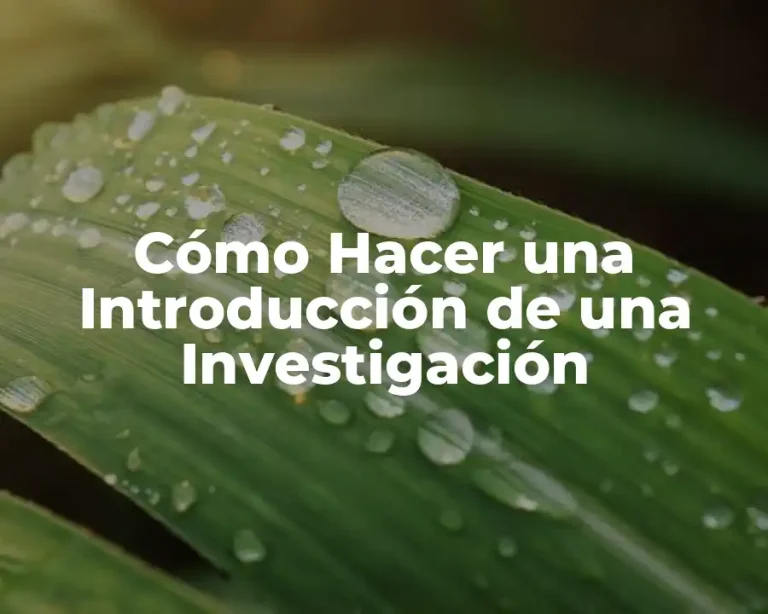 Cómo Hacer una Introducción de una Investigación