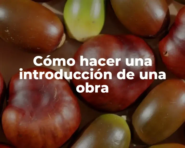 Cómo hacer una introducción de una obra