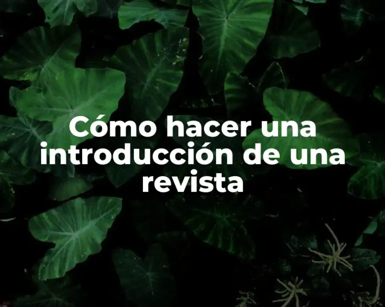 Cómo hacer una introducción de una revista