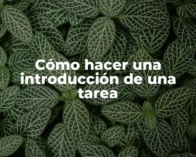 Cómo hacer una introducción de una tarea