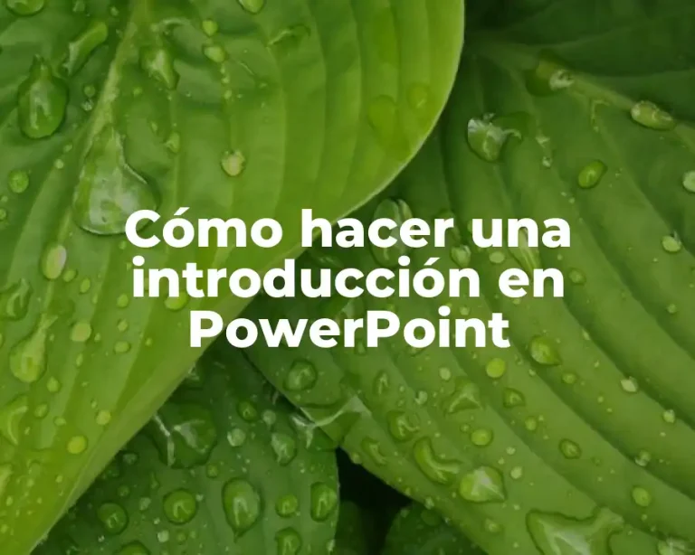 Cómo hacer una introducción en PowerPoint
