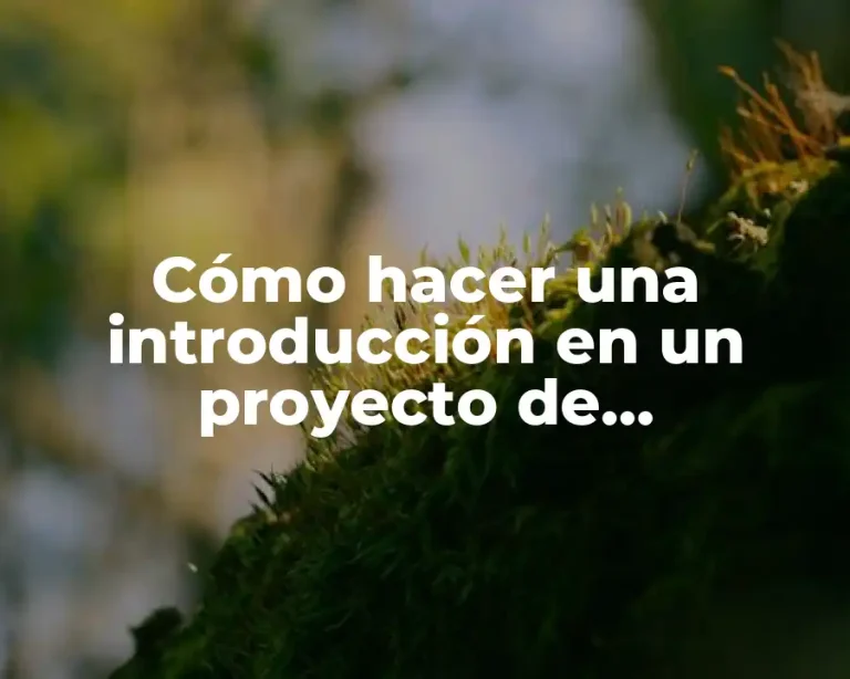 Cómo hacer una introducción en un proyecto de investigación