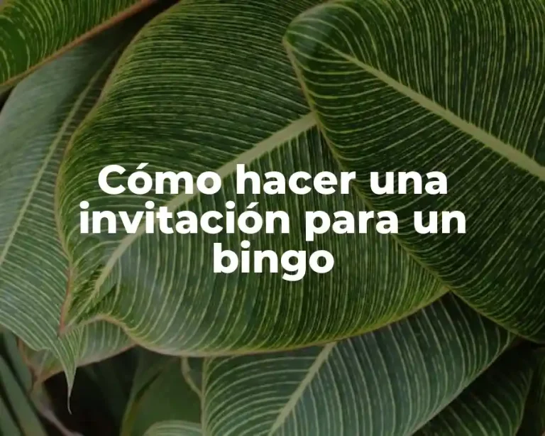 Cómo hacer una invitación para un bingo