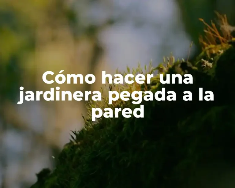 Cómo hacer una jardinera pegada a la pared