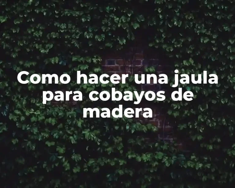 Como hacer una jaula para cobayos de madera