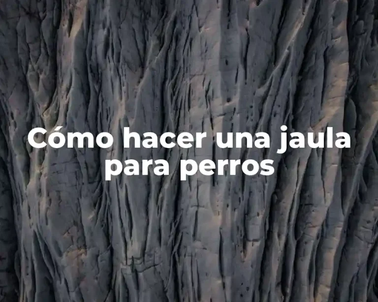 Cómo hacer una jaula para perros