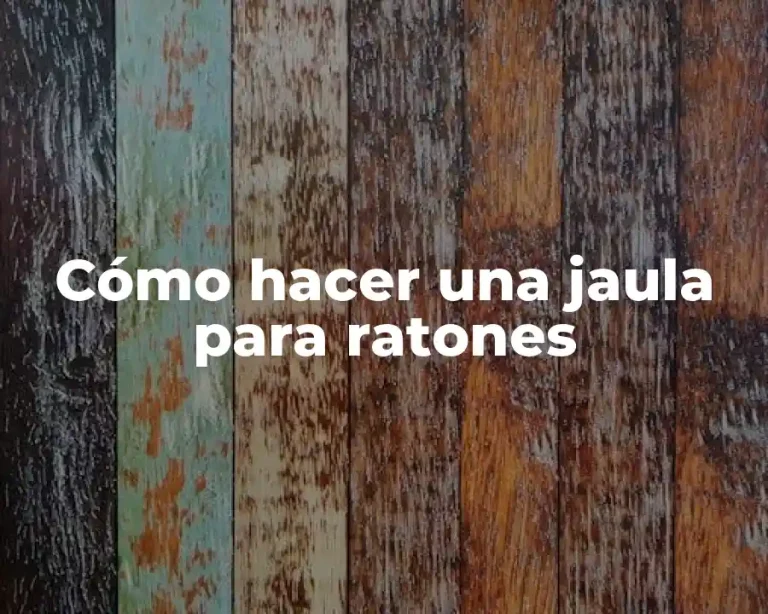 Cómo hacer una jaula para ratones