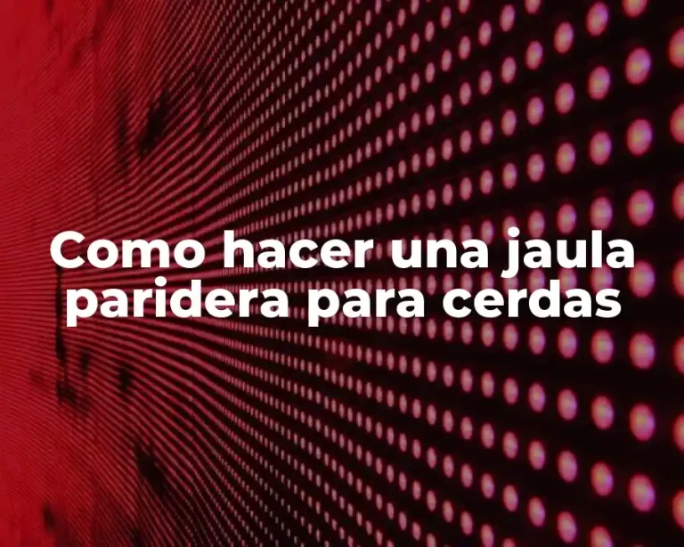 Como hacer una jaula paridera para cerdas