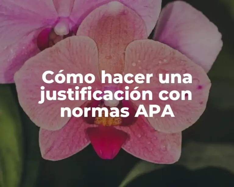 Cómo hacer una justificación con normas APA