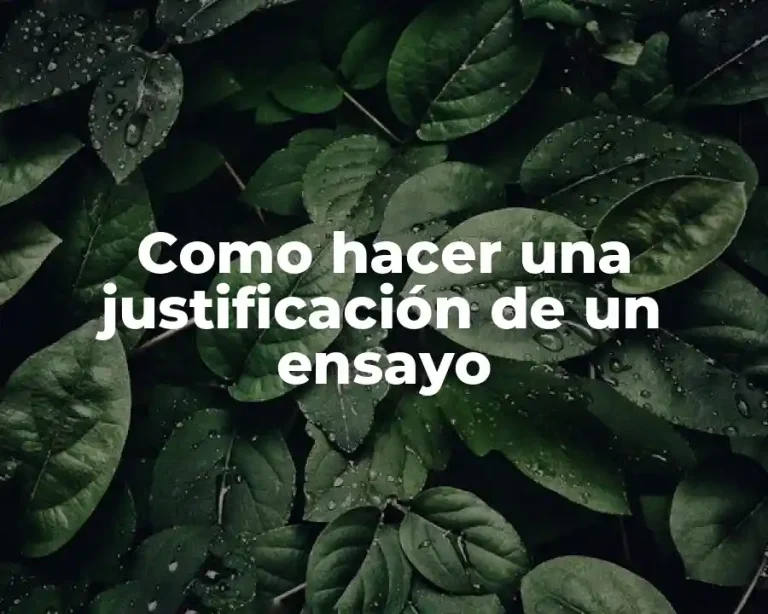 Como hacer una justificación de un ensayo