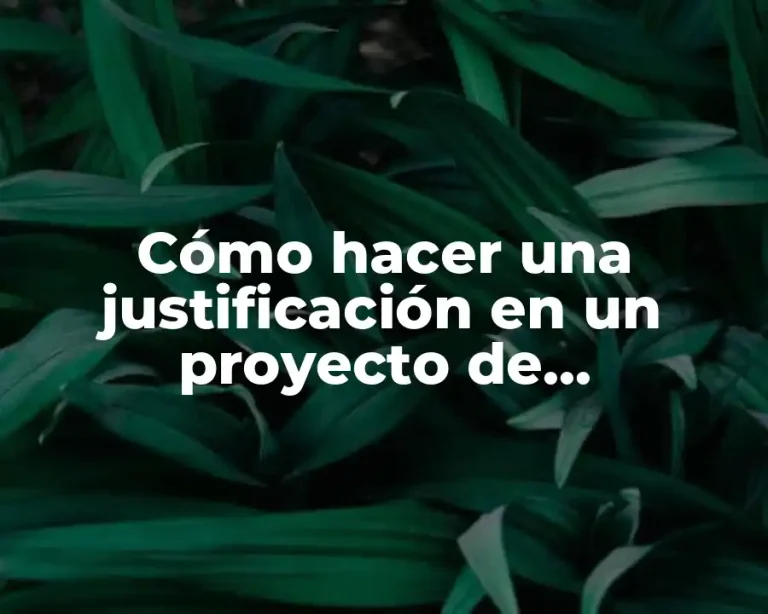 Cómo hacer una justificación en un proyecto de investigación