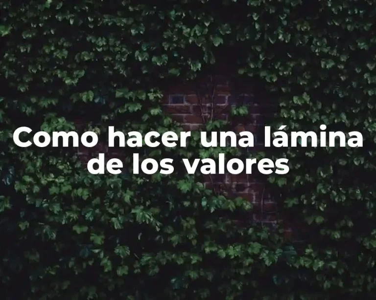 Como hacer una lámina de los valores