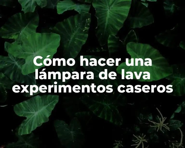 Cómo hacer una lámpara de lava experimentos caseros