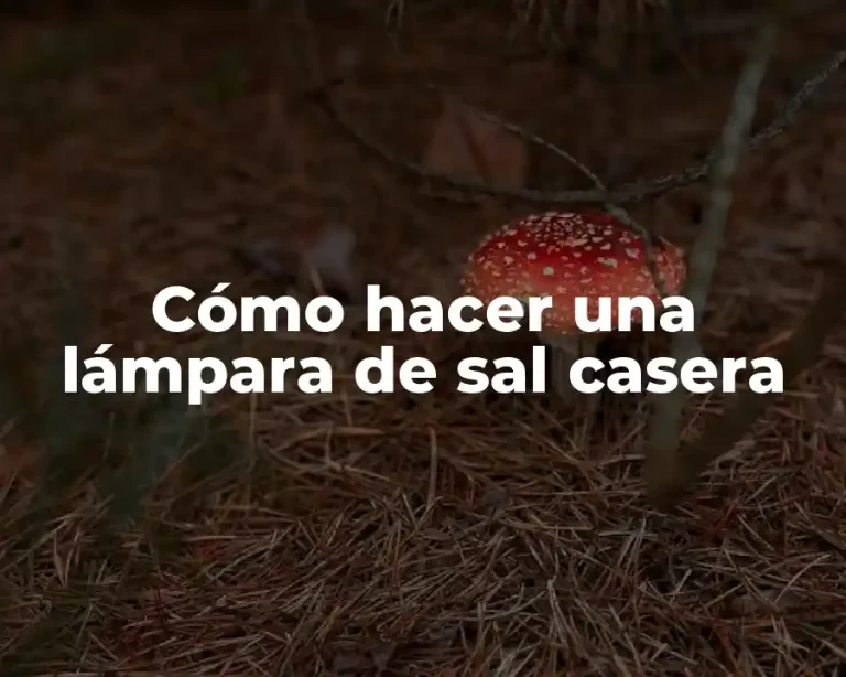 Cómo hacer una lámpara de sal casera