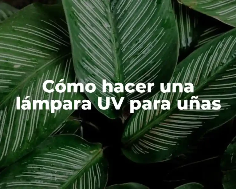 Cómo hacer una lámpara UV para uñas