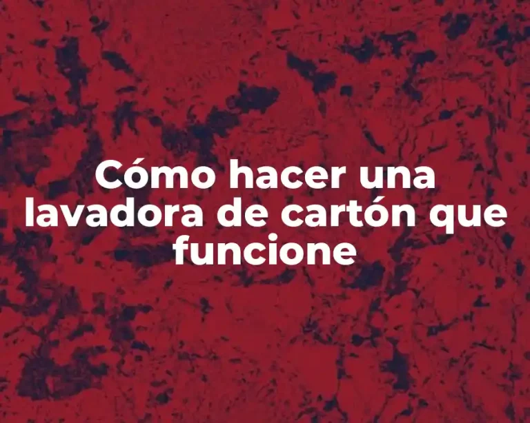 Cómo hacer una lavadora de cartón que funcione
