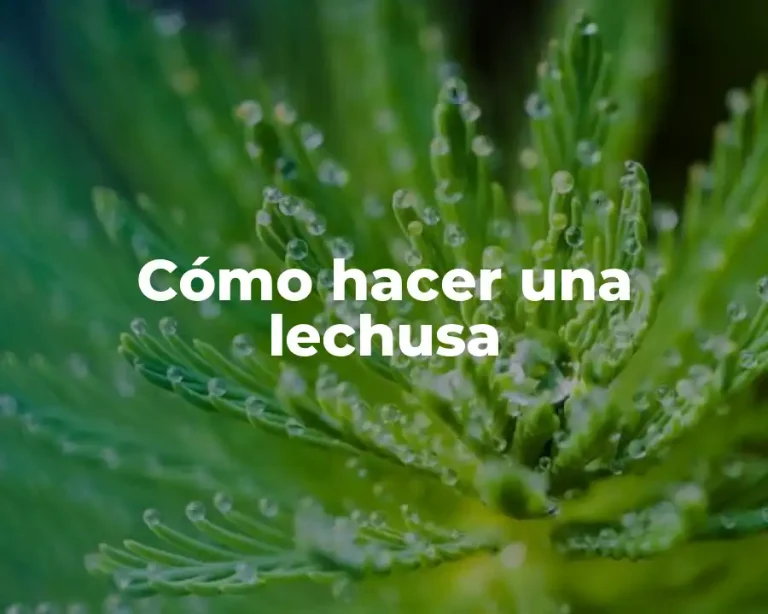 Cómo hacer una lechusa