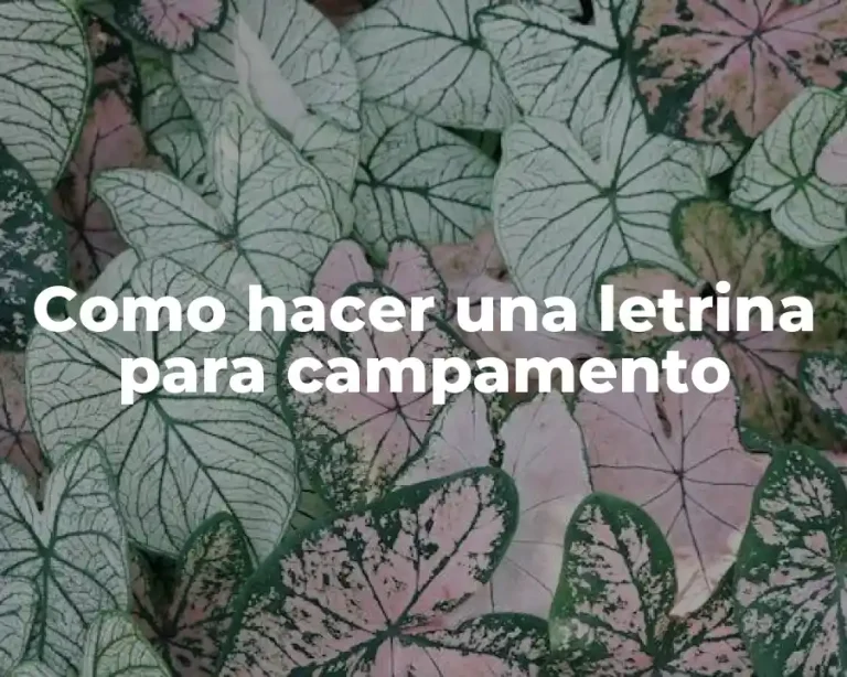 Como hacer una letrina para campamento