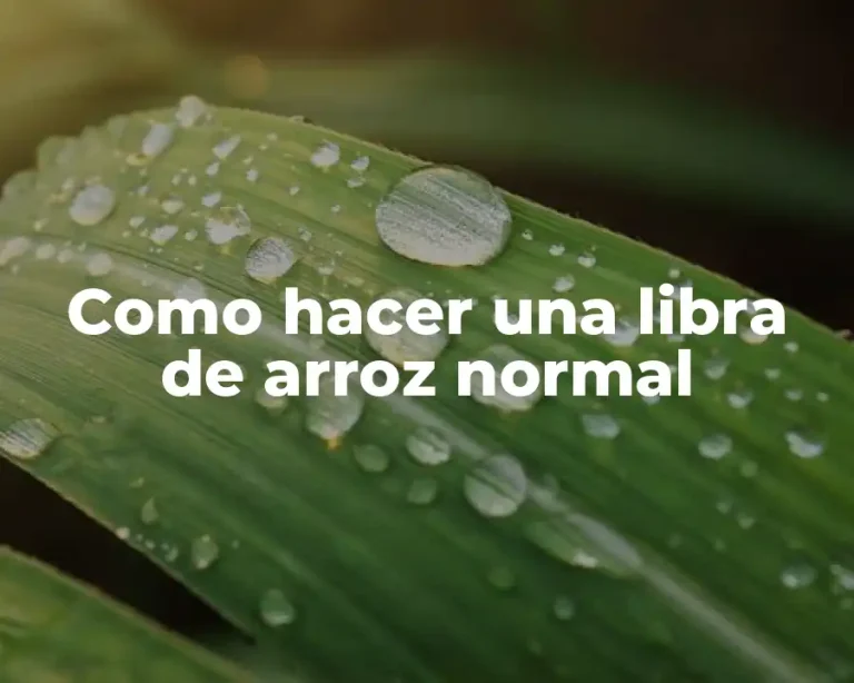 Como hacer una libra de arroz normal