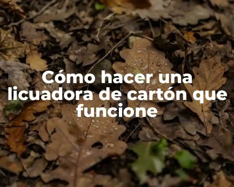 Cómo hacer una licuadora de cartón que funcione