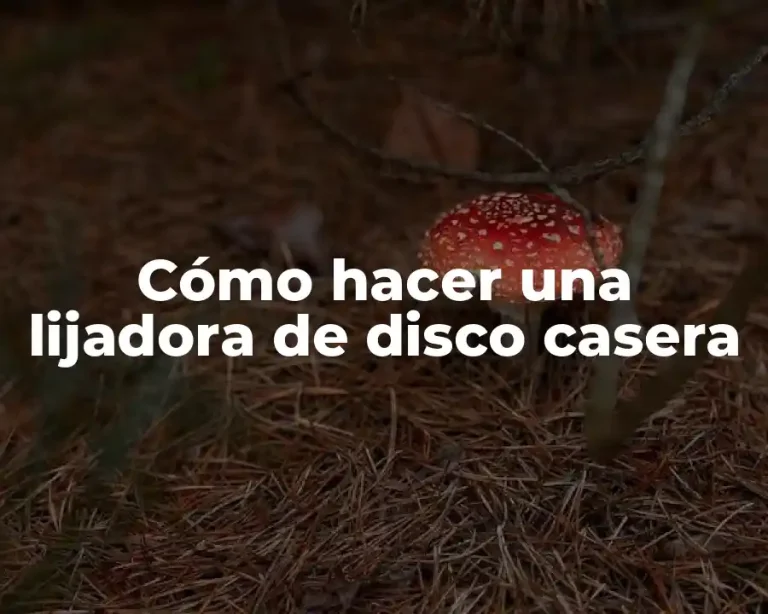 Cómo hacer una lijadora de disco casera