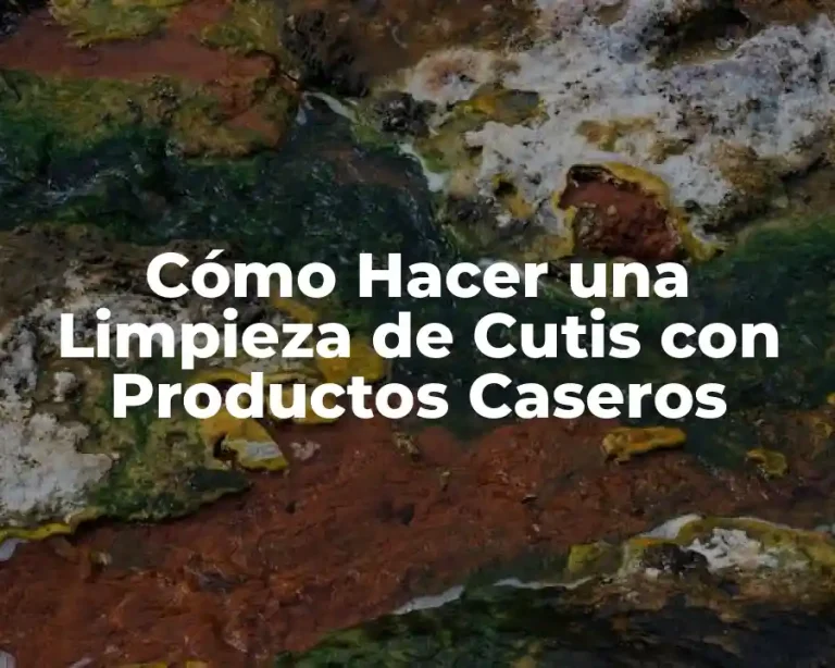 Cómo Hacer una Limpieza de Cutis con Productos Caseros