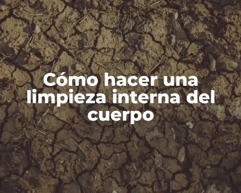 Cómo hacer una limpieza interna del cuerpo