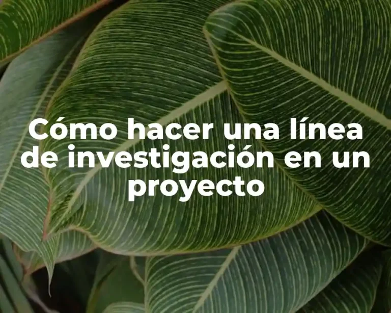 Cómo hacer una línea de investigación en un proyecto