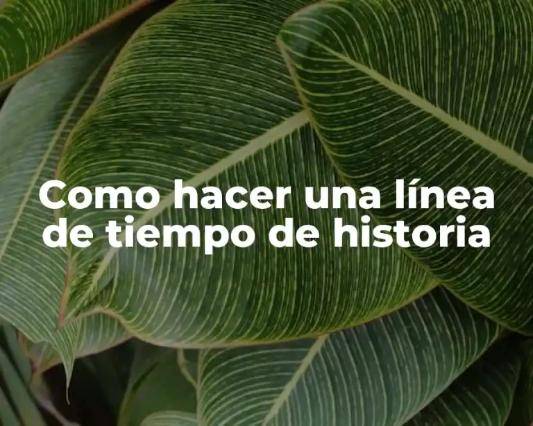 Como hacer una línea de tiempo de historia