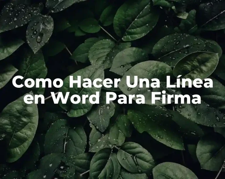 Como Hacer Una Línea en Word Para Firma