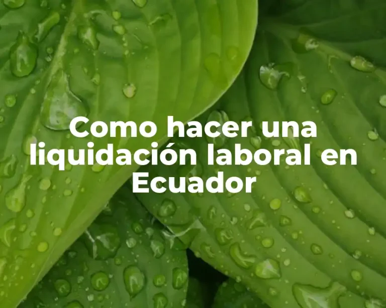 Como hacer una liquidación laboral en Ecuador