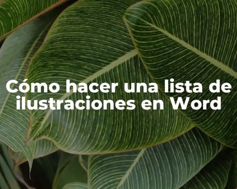 Cómo hacer una lista de ilustraciones en Word