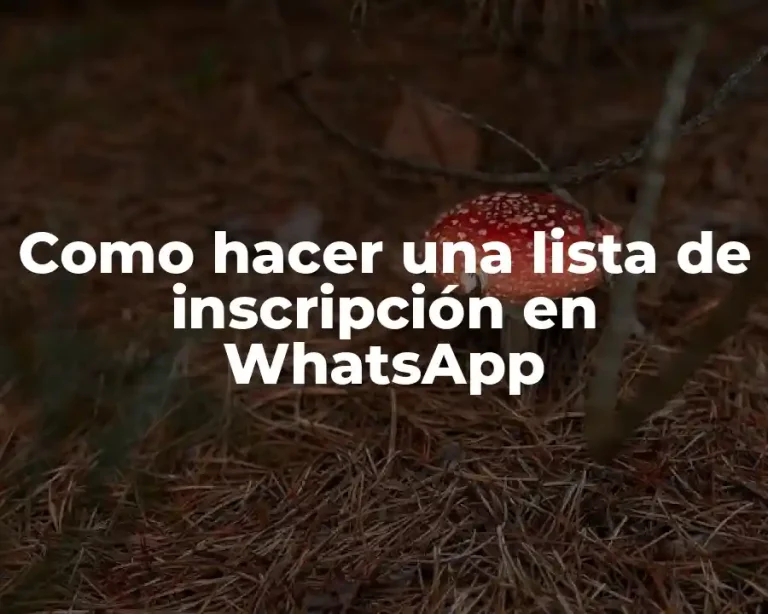 Como hacer una lista de inscripción en WhatsApp