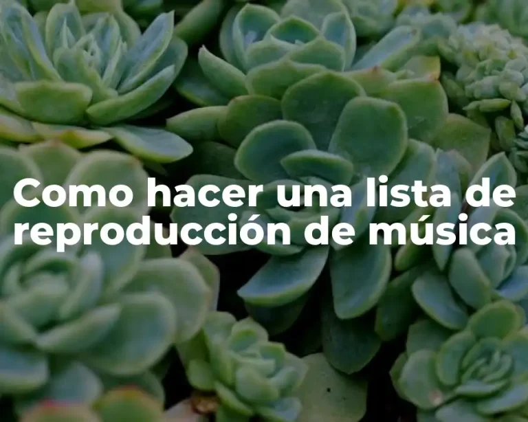 Como hacer una lista de reproducción de música