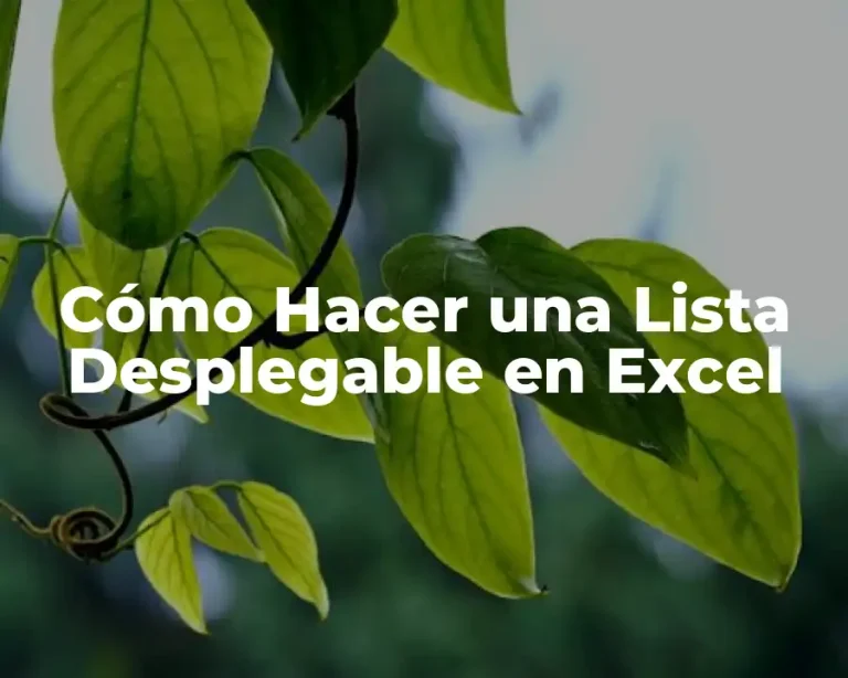 Cómo Hacer una Lista Desplegable en Excel