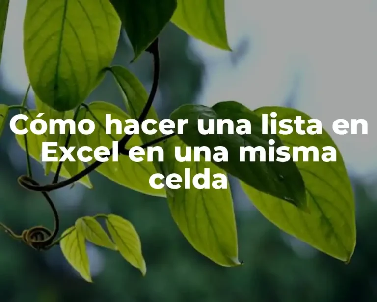 Cómo hacer una lista en Excel en una misma celda