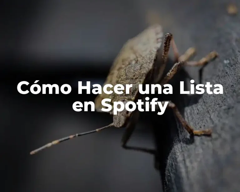Cómo Hacer una Lista en Spotify