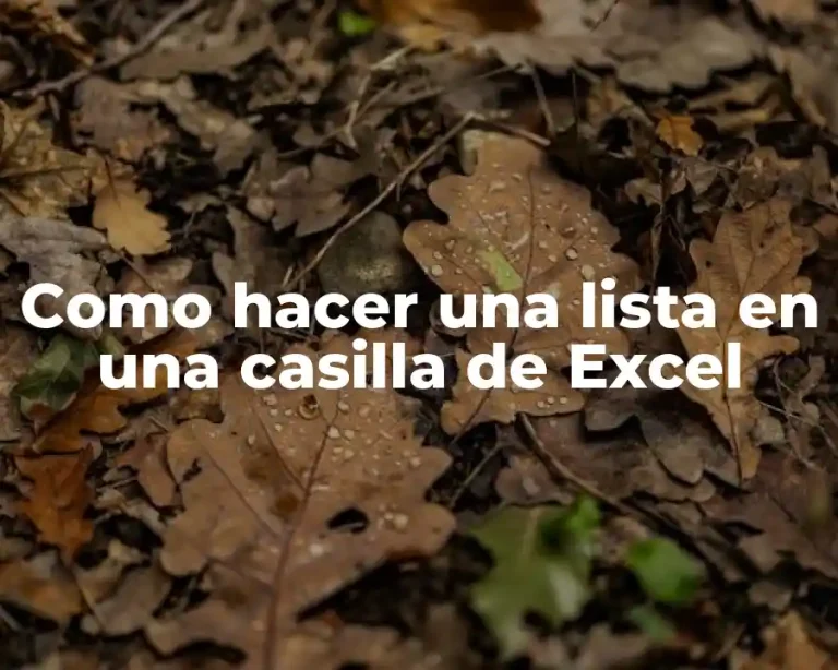 Como hacer una lista en una casilla de Excel