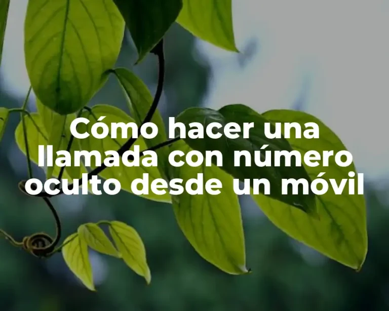 Cómo hacer una llamada con número oculto desde un móvil