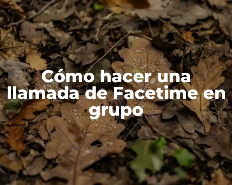 Cómo hacer una llamada de Facetime en grupo