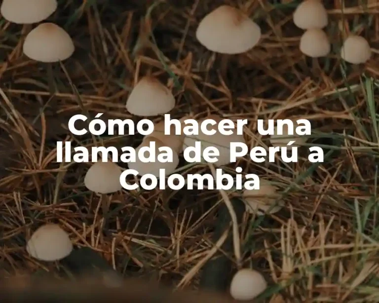 Cómo hacer una llamada de Perú a Colombia
