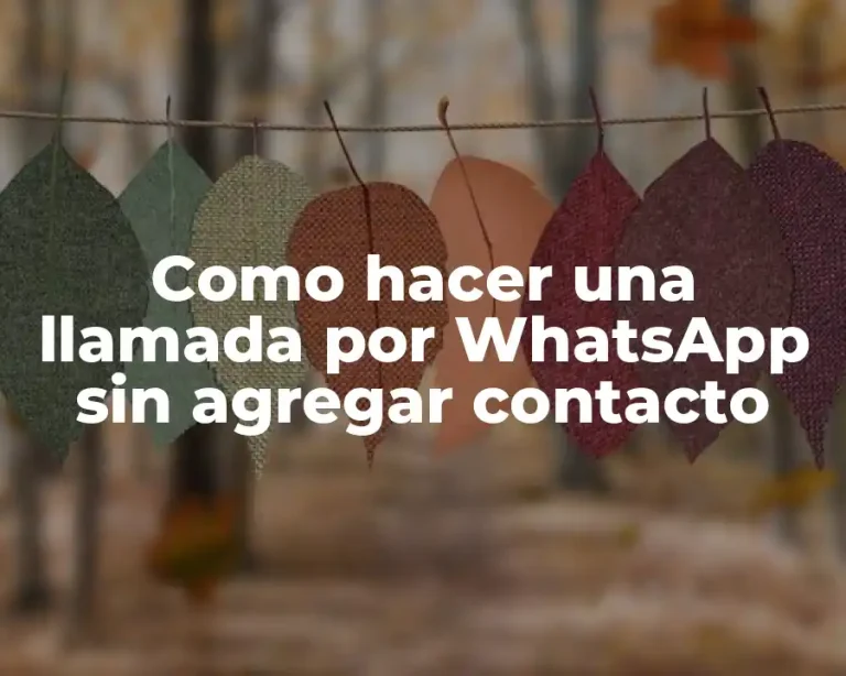 Como hacer una llamada por WhatsApp sin agregar contacto