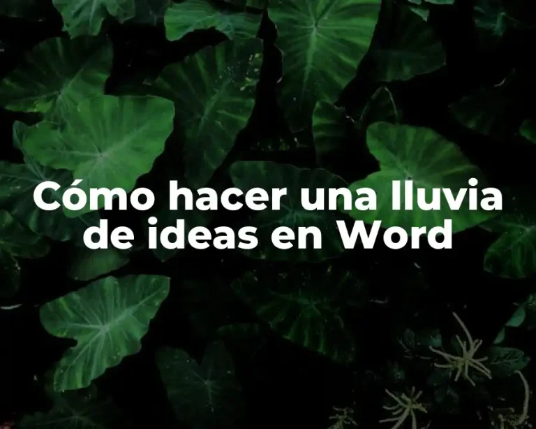 Cómo hacer una lluvia de ideas en Word