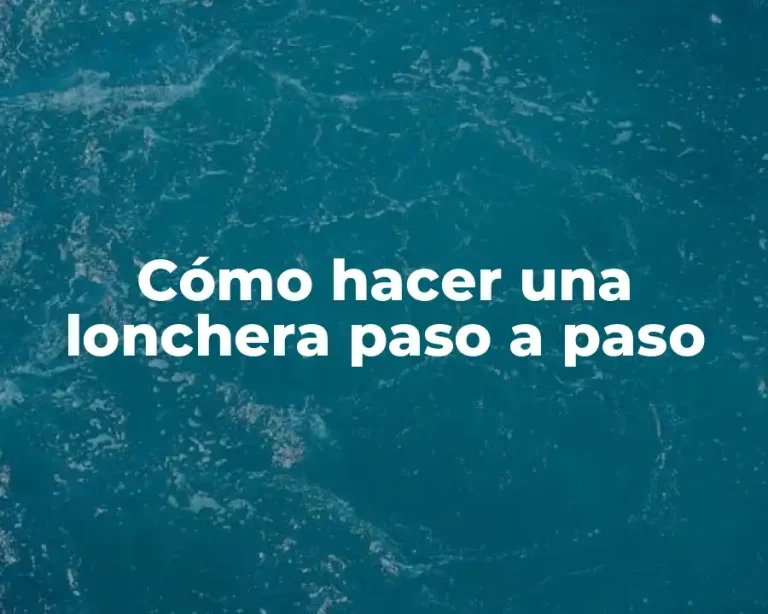 Cómo hacer una lonchera paso a paso